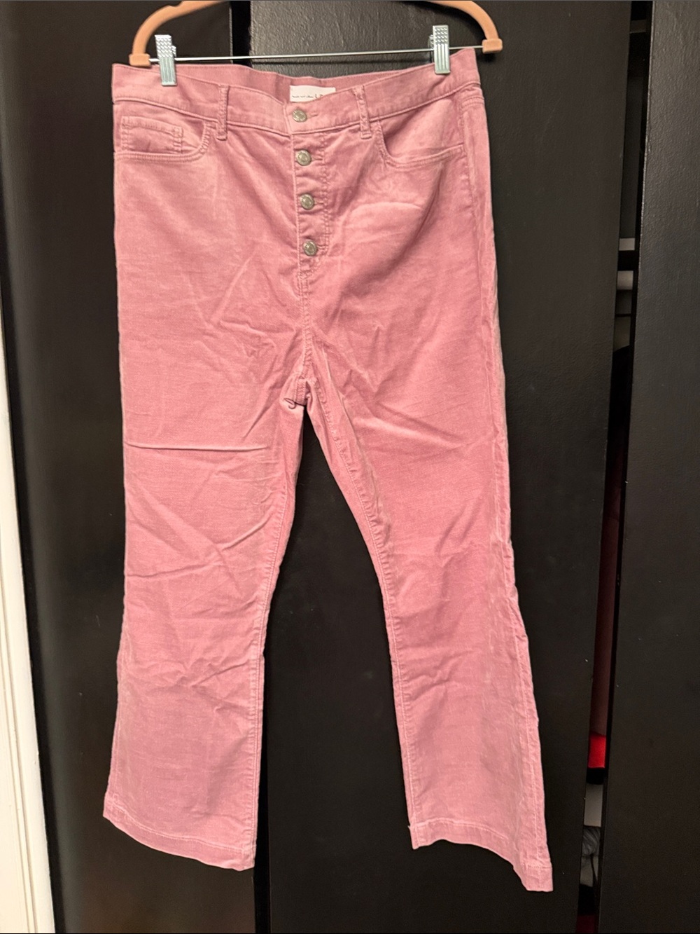 LOFT Mauve velvet Button-Front Pants